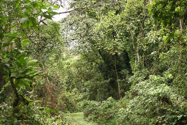Kakamega